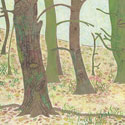 img-01