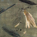 img-01