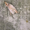 img-03